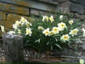 Игорь Хохлов фотография #50 (источник - https://vk.com/id512608)