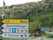 Дмитрий Плосконосов фотография #49 (источник - https://vk.com/id9505679)