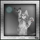 Наталия Карпук фотография #5 (источник - https://vk.com/id3677633)