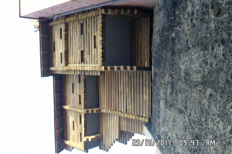 Сергей Венгерак фотография #42