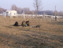 Олександр Івахов фотография #7 (источник - https://vk.com/id136761972)