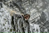 Фотография Коптевой Светланы