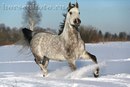Οлеся Κудрявцева фотография #23 (источник - https://vk.com/id169427654)