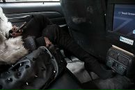 Фотография Davidzha Balivia