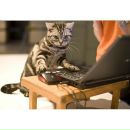 Фотография Денисова Дениса