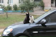 Игорь Матарыкин фотография #12 (источник - https://vk.com/id422203)