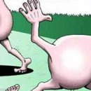 Вітя Бабич фотография #34 (источник - https://vk.com/id138317392)