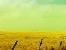 Вікочка Уліганець фотография #14 (источник - https://vk.com/id134669370)