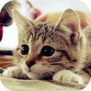 Аделіна Владімова фотография #3 (источник - https://vk.com/id143075784)