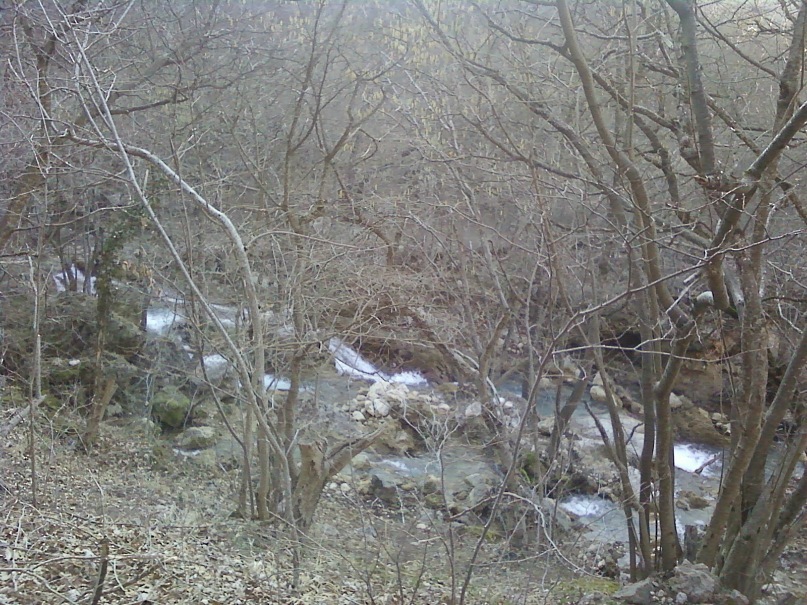 Богдан Рыбалко фотография #24