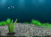 Віталік Бідочко фотография #14 (источник - https://vk.com/id103179026)