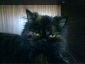 Фотография Воронюка Юрия