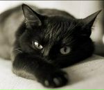 Фотография Фокс Юлии