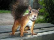 Фотография Васильевой Марии