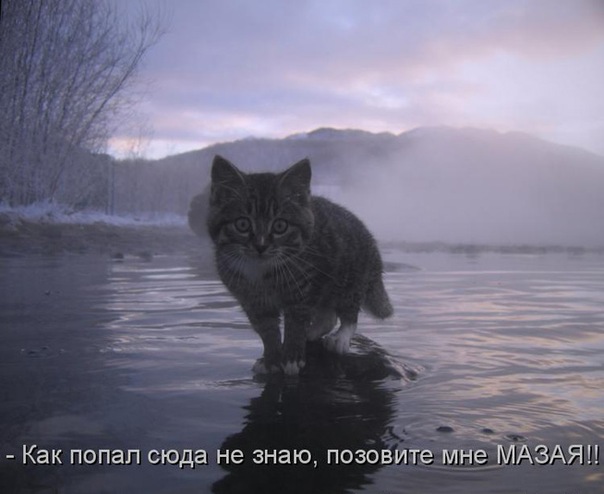 Дима Цынин фото №28