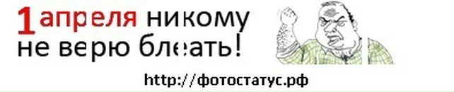 Ёжик_в_тумане :) фотография #14 (источник - https://vk.com/id54339667)