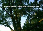 Аліна Матчук фотография #28 (источник - https://vk.com/id4305772)