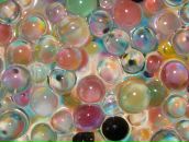 Фотография Зинченко Романа