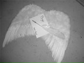 Світлана Стефанова фотография #25 (источник - https://vk.com/id66598781)