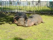 Фотография Рыкуна Евгения