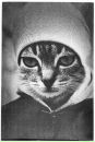 Чудік Юдік фотография #11 (источник - https://vk.com/id19667656)