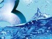 Ігор Біланюк фотография #37 (источник - https://vk.com/id138144930)