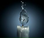 Фотография Бреус Елены