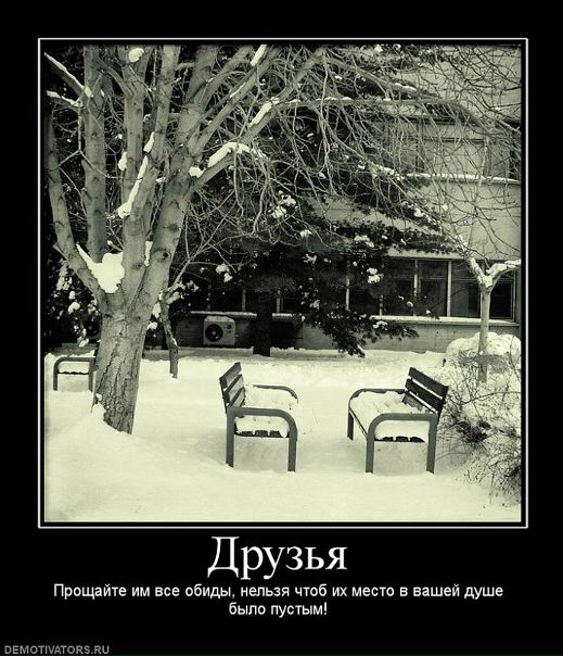 Сергей Орлов фото №38