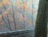 Тарас Корнійчук фотография #23 (источник - https://vk.com/id65131453)