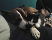 Сергій Бранчук фотография #37 (источник - https://vk.com/id135699134)