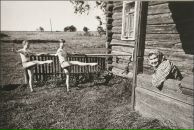 Софья Арендт фотография #5 (источник - https://vk.com/id2987009)