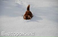 Фотография Мартынова Дмитрия