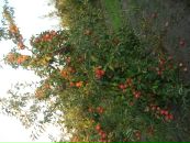 Віталік Гикавий фотография #7 (источник - https://vk.com/id65550734)