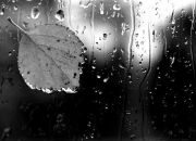 Фотография Готард Оли