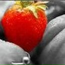 Фотография Цинской Ксении