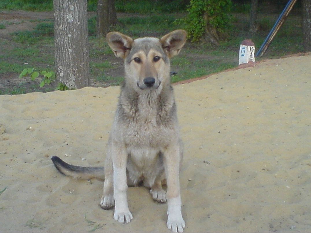 Сергей Синенко фотография #4