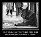 Соломія Царик фотография #39 (источник - https://vk.com/id16160013)