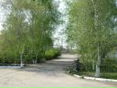 Лєна Харченко фотография #41 (источник - https://vk.com/id143967529)