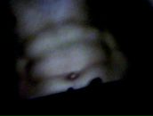 Назько Палій фотография #38 (источник - https://vk.com/id97310456)