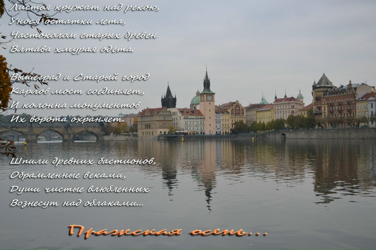 Владимир Krrrr фотография #30