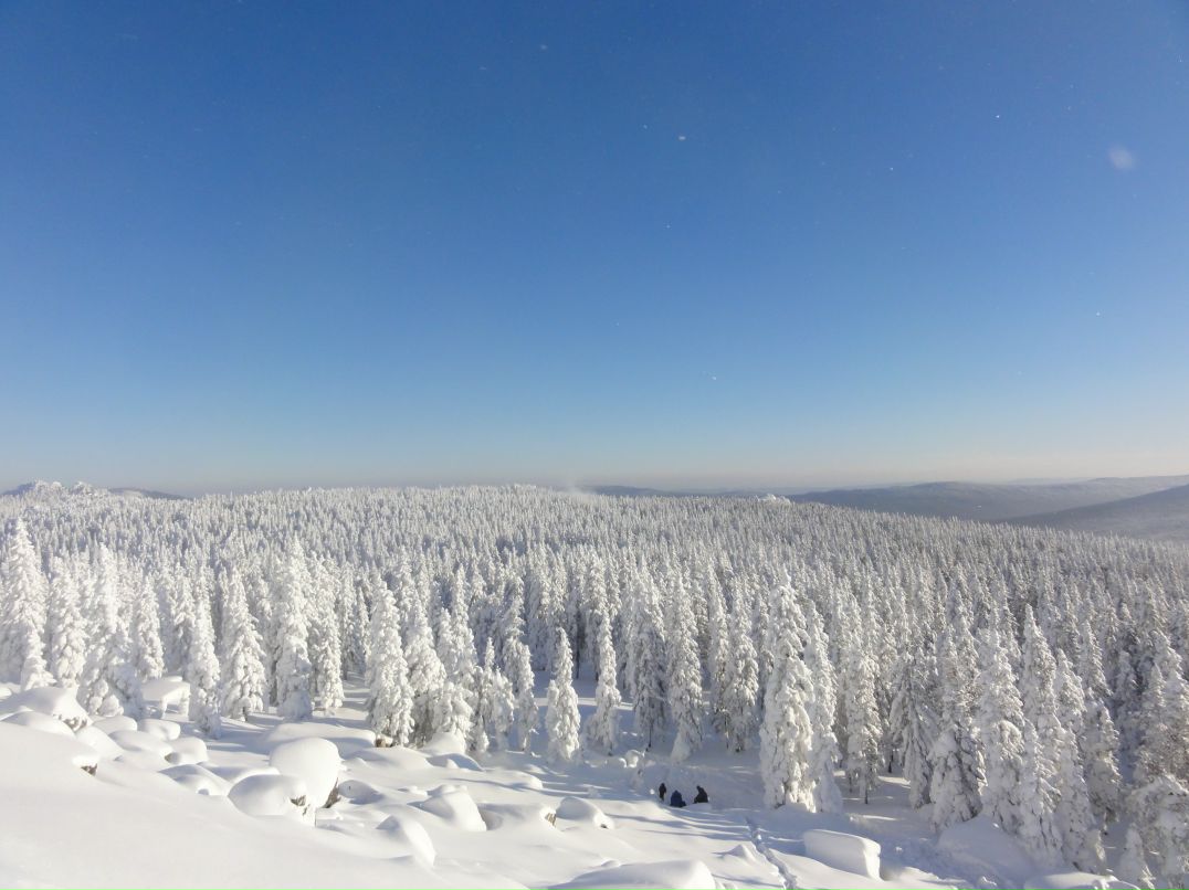 Дмитрий Трушков фотография #6