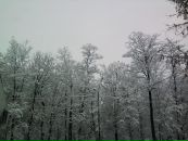 Іван Петрук фотография #27 (источник - https://vk.com/id42967128)