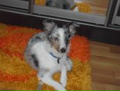 Фотография Юрич Юрий