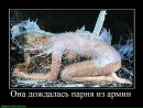 Олександр Лісник фотография #40 (источник - https://vk.com/id91636096)