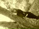 Оля Галій фотография #8 (источник - https://vk.com/id143880245)