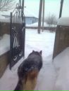 Свєта Гаврилюк фотография #20 (источник - https://vk.com/id132939204)