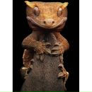 Толя Даниленко фотография #24 (источник - https://vk.com/id2023558)