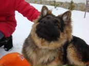 Кейт =) фотография #6 (источник - https://vk.com/id120276117)