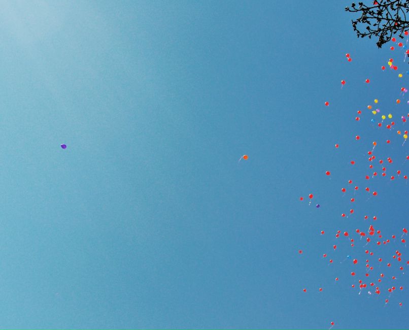 Dam Omen фотография #38