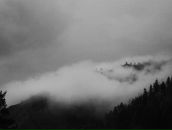 Ольга Моха фотография #28 (источник - https://vk.com/id2886236)